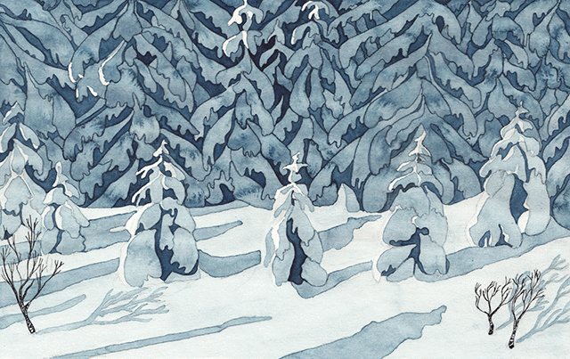 Winter forest II