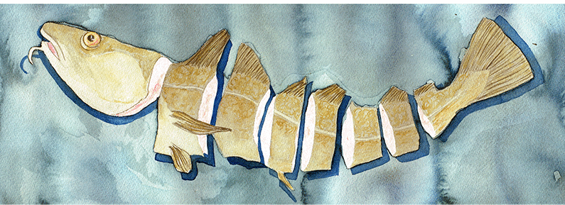 Cod in slices