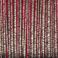 Sanguis Betula