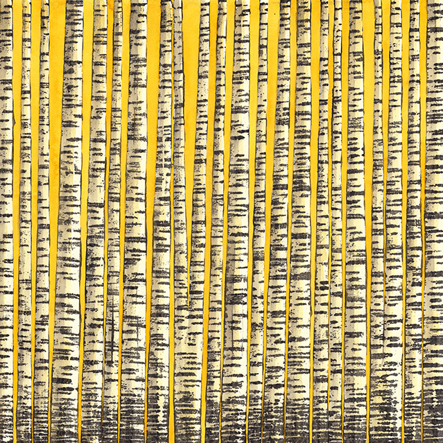 Betula