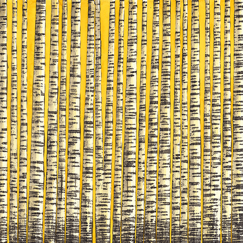 Betula